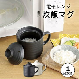 楽天市場 電子レンジ専用炊飯器の通販