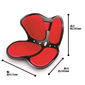 骨盤サポートチェア セシルシェイプ 座椅子 腰痛 骨盤 サポート シート チェア 姿勢矯正 姿勢 腰 骨盤の歪み