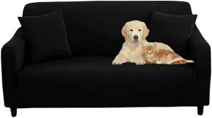 L  Lїǂ Lkf ce tBbgJo[ Xgb` ʋC L΍  \t@[یJo[ IȂ n _炩 }`Jo[ It ̌^ It 1l| \t@[J