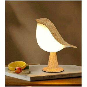 F [d Cg ԃCg ^  킢 ^b` v[g LEDCg  e[uv A}v 3F USB