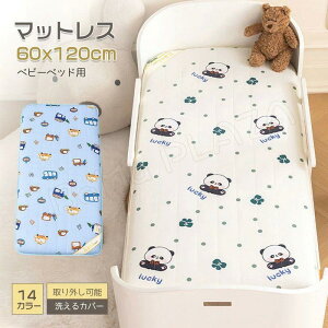 ǂ̂ӂƂ ~ӂƂ ~zc Ԃ xr[xr[~zc ~zĉ xr[zc ~j xr[zc 60*120cm