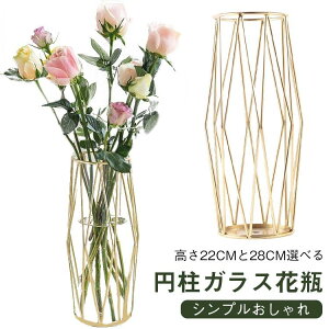 V  ~ 28cm 22cm hCt[  ֑} Ԃт KX t[x[X S[h k H` 