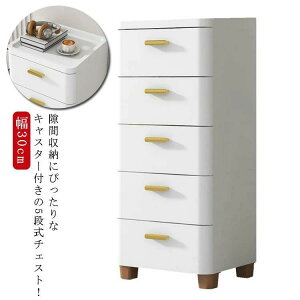 E ʏ Lb``FXg [I rO`FXg LX^[t ^X [P[X  5i X 30cm Ԏ[