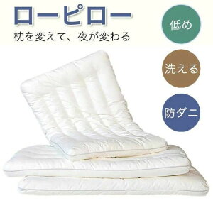 ObY }N ܂ ᔽ S̉ 6cm 4cm 2cm u܂Ȃ _炩 h_j 􂦂  Ⴂ [s[