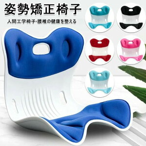 y ֎q  ՃT|[g`FA ItBX`FA/Q[`FA//֎qpNbV 邾ɂȂȂNbV ֎q