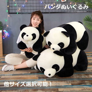 p_ Aj}  ObY 킢  ʂ ܂ 쓮  mN  80cm TCY