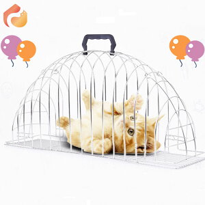 �y�b�g�p�o�X�P�[�W �L�p�w�A�h���C���[�{�b�N�X �L�p�u���[�h���C���[�{�b�N�X �q���p�h���C���[�{�b�N�X �L�����[�o�b�O ���C�ɓ��� �X�e�����X�| �y�b�g�x�b�h �L���b�g�V�����[ ����