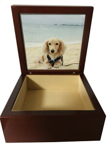 LINEŊȒPy ʐ^ ^Ct{bNXztHg^C Mtg v[g CeA DIY IWi j EFfBO ގ ޏ j LO ʐ^ A{bNX w