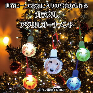 LINEŊȒPy ʐ^ AN I[ig zMtg v[g CeA IWi NX}X NX}XI[ig NX}Xc[ I[ig I[ig{[ 