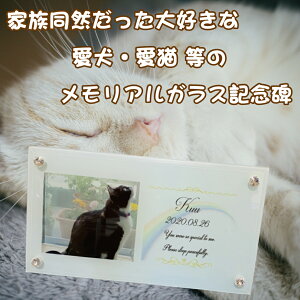 LINEで簡単【名入れ 写真入り メモリアルガラスフレーム】 ペット 犬 わんちゃん 猫 にゃんちゃん メモリアル メモリアルグッズ フォトフレーム 肉球 ガラスフォトフレーム ペット供養 お悔
