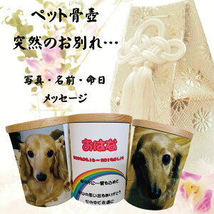 LINEŊȒPy ʐ^ ybgzybg  ybg ybg{  [ A 茳{ ʐ^  ʐ^vg 茳{  A AObY y