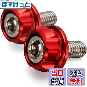 yzfCgi(Daytona) PREMIUM ZONE(v~A][) oCNp io[v[g {g M6×15mm z_[Zbg 2 bh 91945