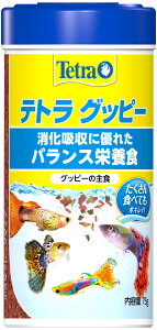 yzeg (Tetra) Obs[  75g