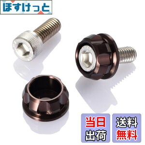 yzfCgi(Daytona) PREMIUM ZONE(v~A][) oCNp io[v[g {g M6×15mm z_[Zbg 2 uY 91954