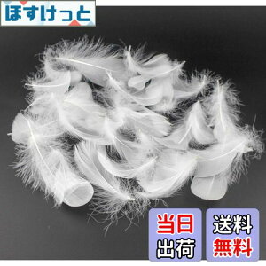 yzKingsie VR H 100Zbg tFU[V[ HV[ |f  EGfBO o (zCg)