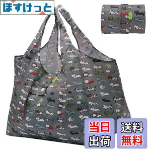 yz[GOKEI] GRobO obO ܂肽 e hf y RrjobO RpNg [ ≘ɂ 