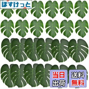 yzBestgleXe̗t lHt t sȂtFCNO[ 24ZbglϗtA T̗t  Be p ins Ǌ| CeA 