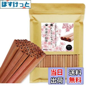 yzAdhereM VR؉M 2B Zp 50{҂ Vtg _炩KAq̊wZ̏A`Ac^AwAܕiAŵ߂̉M  (SȂE50{)