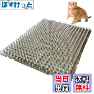 yzONESORA L悯V[g L悯Ƃ}bg  y8z Op LN tQh~