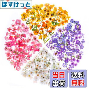 yzYOVOY 164 R[W f V[ ԃV[Zbg t[NV[ XebJ[ e    A 蒠fރXebJ[ KXrƉ