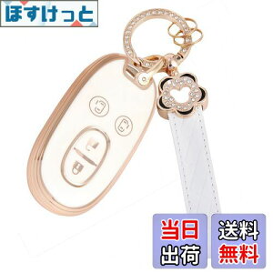 yz[Nacalikeey] KXYLXChL[P[X킢̃L[P[SR XeBO[~̉ԓKMRS (MR wagon) Ag (Alto) p (Lapin) pbg (PALETTE) [NX (ROOX) 