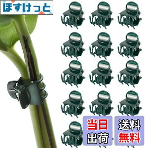 yzPAVIKE m ApNbv 50 AxNbv |Nbv ڂ؃Nbv xUNbv ϋv ͔| ėp\ K[fK[fc[ |֗Nbv |