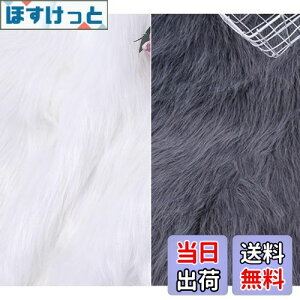 yzsiawadeky Bep wiz 2Zbg wAn wiV[g oł iBe CNAbv lCA[g WG[ Be wiX^h \ obNp[p[ ʐ^ 