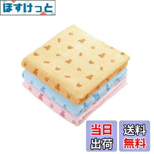 yzKosugizen oX^I poX^I N} 3Fe1 60×120cm ₷^Cv ܂Ƃ߂Ă 3Zbg ST-5808-3