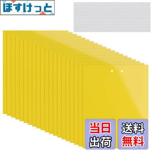 yzKALOLINNA  SV[g  QߊlS ʔS h S ȒPt Q ߒ h nG 쏜 ߊl K[fjO _ ͔| ƒ؉ CG[ (20×10cm,20)