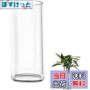 yzDARENYI KX ԕr 傫 35cmt[x[X ~ 傫  ^ ԕr NA Vv  CeA (a12cm 35cm)