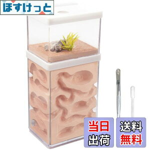 yzaleawol Ȃώ@Lbg A甠 ȃώ@Lbg a  ΍p 2w ȃvX`bNȂ ALbg  R  Ȋw ώ@L 