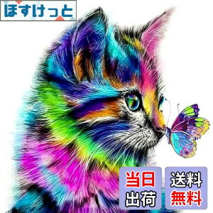 yz5d_ChA[g Lƒ 5D _Chh UCNA[g _ChyCeBO Lbg r[YG Sʓ\t^Cv r[YA[g UCNr[Y |pi 