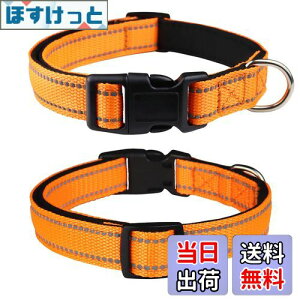 yzTHAIN   ^A^p ybgpi ˍޗ iC ʋC e͐ _炩 ߉\ (M, IW)