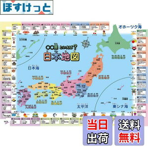 yzCwK|X^[ {n} (ƌ( 60×42cm))