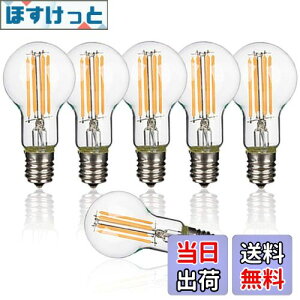 yzƖ u6ZbgvtBg LEDd E17 60W` GW\ NAd GT-A40-T4W-6B dF ʓd 600lm ~j{[` VfAp Lz g CeA Ԑڏ