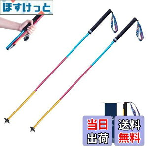 yzTRIWONDER gCjOp|[ 2{Zbg ܂肽ݎ y g|[ gbLO|[ oRXgbN EH[LO|[ mfBbNEH[LO (J