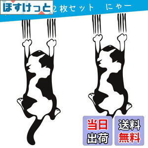 yz1797 XebJ[ ˂ L ɂ hXebJ[ fJ[ V[ ԗp 킢  ʔ  L J[XebJ[ hA  ǃV[ ڊ ① xbh