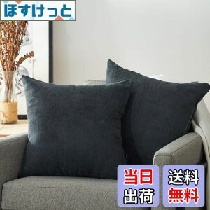 �y���������zTopfinel �N�b�V�����J�o�[ ���l�����ۂ� 45×45cm �k�� ������� �Ȗ� ���n �\�t�@�w���� �������J�o�[ ���z�c�J�o�[ �Z���O���[ 2���Z�b�g�i�S10�F�j