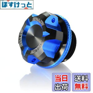 yzfCgi(Daytona) PREMIUM ZONE(v~A][) oCNp ICtB[Lbv M20XP1.5u[ 91886