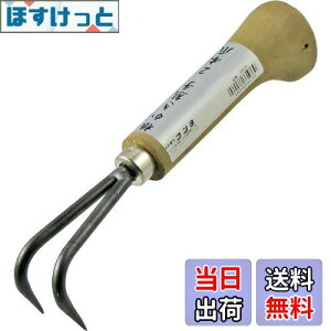 yzߗ^(KONYO) ܘY F 2{