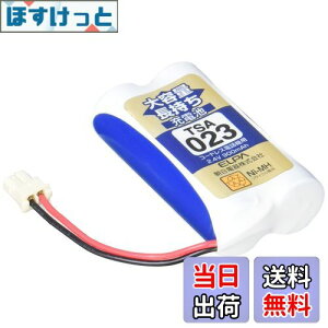 yzGp (ELPA) eʒ[dr pi\jbNi 2.4V 900mAh jbPf[dr TSA-023