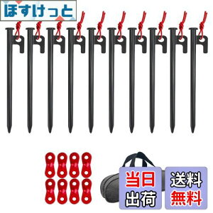 yzYOGOTO X`[yO 20cm10{Zbg LvyO egpyO yOP[Xt ^[vyO dy n np 10mm 1Nԕiۏ [P[X ݋t