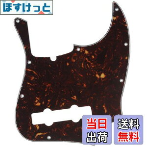 yzMusiclily Pro 10 vVWx[XPBsbNK[h5Fender American Precision BasspAꈍb4P
