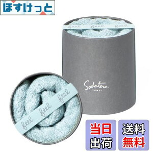 yzĂ^I feel tFCX^I tHOu[(n) 34×85cm 100 {bNX SD-FEEL-FFB