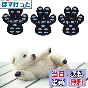 yzAqumax 48 ~ pbh   pbh  ybg CS͂ ~  ی h~ ׂ ~ tbg  p pbh-d؂̏犊藎̂hgNV