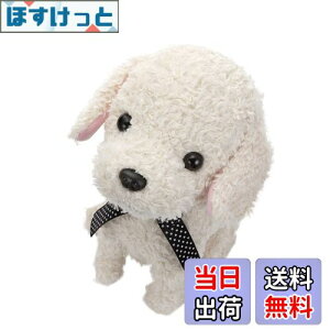 yzZKtFCu (SEGA FAVE) RR  N[