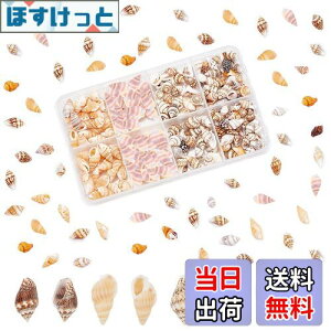 yzPH PandaHall 260 VF Lk Zbg L ~bNX r[`VF fRf r[` ANZT[p[c |pi f   p[eB[  C̓ Ă̑