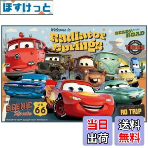 yzXP[^[(Skater) qp W[V[g  STCY 60×90cmTCY fBYj[ J[Y 24 VS1-A