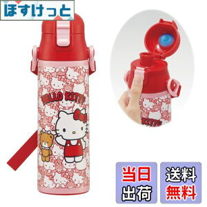 yzXP[^[(Skater) qp XeX   580ml n[LeB 낤 TI qɗDyʃ^Cv ۗp waterbottle X|[c{g 킢LbY q 