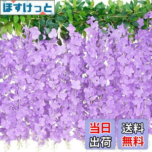 yzLakymisy ̉ 2{  K[h  ӂ̂͂ 10}/{  VN t̏ 뉀 ԗ ̓ ʐ^Be Ǌ| ԏ Xܑp  p[eB[